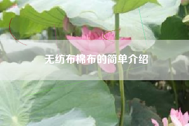 無(wú)紡布棉布的簡(jiǎn)單介紹