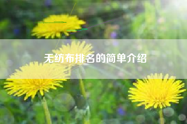 無(wú)紡布排名的簡(jiǎn)單介紹