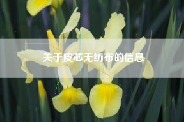 關(guān)于皮芯無(wú)紡布的信息