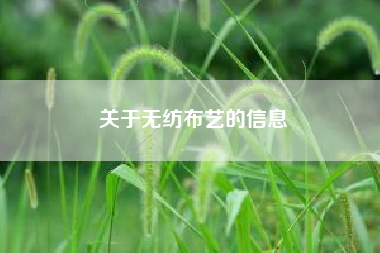 關(guān)于無(wú)紡布藝的信息