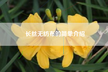 長(cháng)絲無(wú)紡布的簡(jiǎn)單介紹