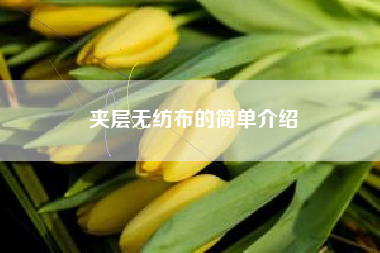 夾層無(wú)紡布的簡(jiǎn)單介紹