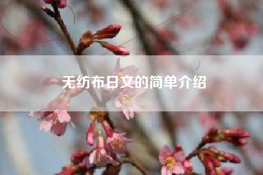 無(wú)紡布日文的簡(jiǎn)單介紹