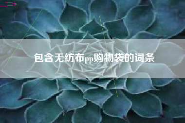 包含無(wú)紡布pp購物袋的詞條