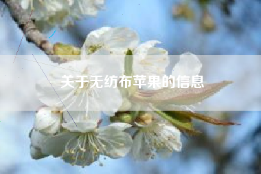 關(guān)于無(wú)紡布蘋(píng)果的信息