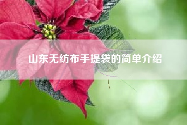 山東無(wú)紡布手提袋的簡(jiǎn)單介紹