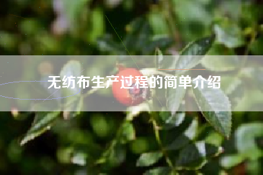 無(wú)紡布生產(chǎn)過(guò)程的簡(jiǎn)單介紹