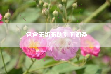 包含無(wú)紡布助劑的詞條