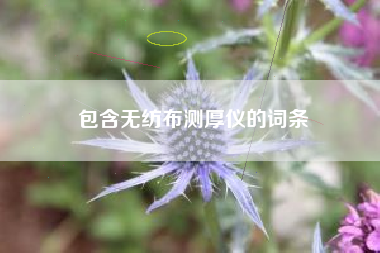 包含無(wú)紡布測厚儀的詞條