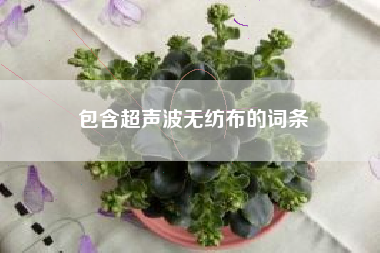 包含超聲波無(wú)紡布的詞條