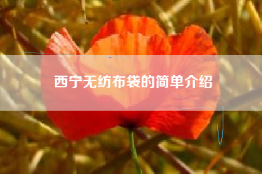 西寧無(wú)紡布袋的簡(jiǎn)單介紹