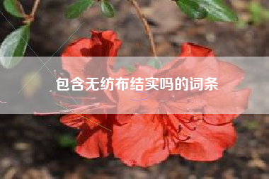 包含無(wú)紡布結實(shí)嗎的詞條