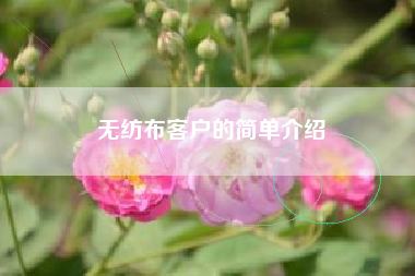 無(wú)紡布客戶(hù)的簡(jiǎn)單介紹