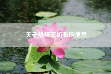 關(guān)于熱熔無(wú)紡布的信息