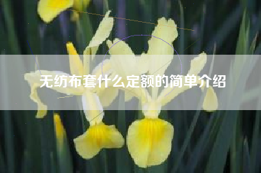 無(wú)紡布套什么定額的簡(jiǎn)單介紹