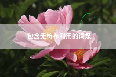 包含無(wú)紡布利用的詞條