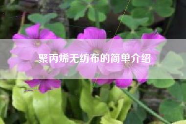 聚丙烯無(wú)紡布的簡(jiǎn)單介紹