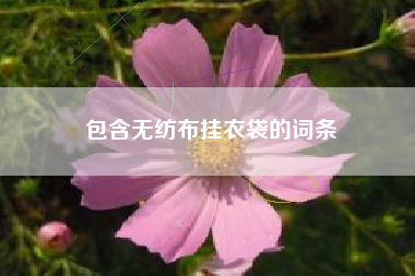 包含無(wú)紡布掛衣袋的詞條