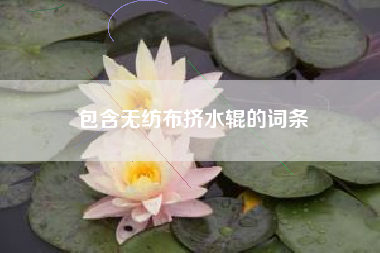 包含無(wú)紡布擠水輥的詞條