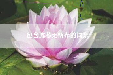 包含濾芯無(wú)紡布的詞條