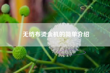 無(wú)紡布燙金機的簡(jiǎn)單介紹