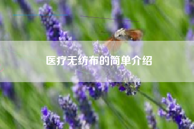 醫療無(wú)紡布的簡(jiǎn)單介紹