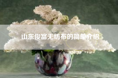 山東俊富無(wú)紡布的簡(jiǎn)單介紹