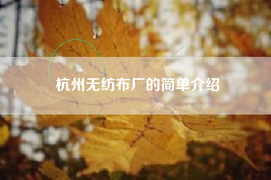 杭州無(wú)紡布廠(chǎng)的簡(jiǎn)單介紹