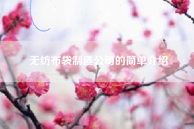 無(wú)紡布袋制造公司的簡(jiǎn)單介紹