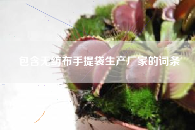 包含無(wú)紡布手提袋生產(chǎn)廠(chǎng)家的詞條