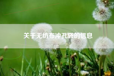 關(guān)于無(wú)紡布沖孔袋的信息