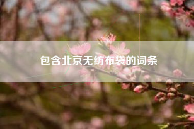 包含北京無(wú)紡布袋的詞條