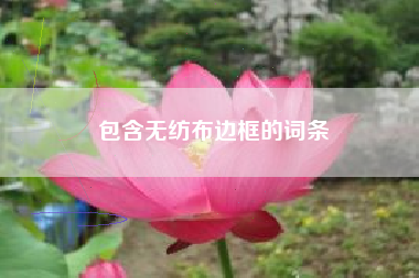 包含無(wú)紡布邊框的詞條