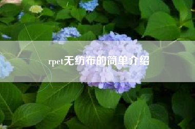 rpet無(wú)紡布的簡(jiǎn)單介紹