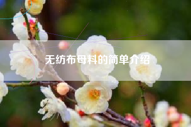 無(wú)紡布母料的簡(jiǎn)單介紹