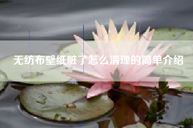 無(wú)紡布壁紙臟了怎么清理的簡(jiǎn)單介紹