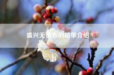 盛興無(wú)紡布的簡(jiǎn)單介紹