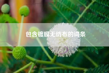 包含鍍膜無(wú)紡布的詞條