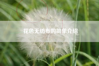 花色無(wú)紡布的簡(jiǎn)單介紹