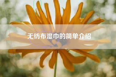 無(wú)紡布濕巾的簡(jiǎn)單介紹