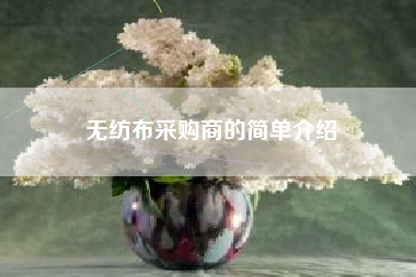 無(wú)紡布采購商的簡(jiǎn)單介紹