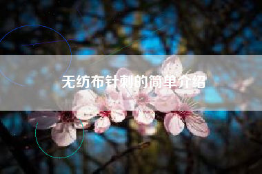 無(wú)紡布針刺的簡(jiǎn)單介紹