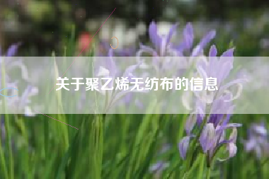 關(guān)于聚乙烯無(wú)紡布的信息