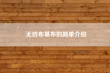 無(wú)紡布基布的簡(jiǎn)單介紹