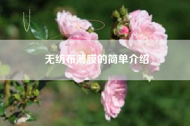 無(wú)紡布薄膜的簡(jiǎn)單介紹