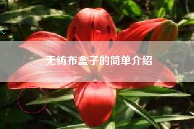 無(wú)紡布盒子的簡(jiǎn)單介紹