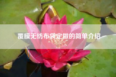 覆膜無(wú)紡布袋定做的簡(jiǎn)單介紹