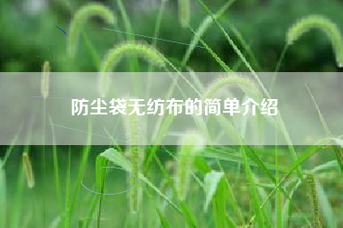 防塵袋無(wú)紡布的簡(jiǎn)單介紹