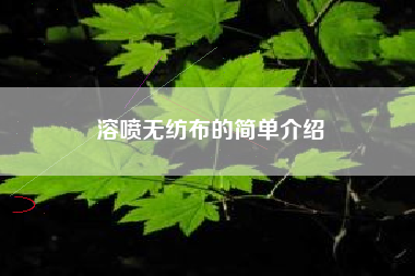 溶?chē)姛o(wú)紡布的簡(jiǎn)單介紹