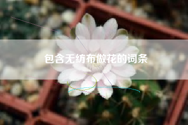 包含無(wú)紡布做花的詞條